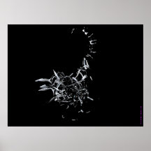 SKYLANTHROPOS POSTERS