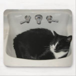 Skylar sleeping in the sink mousepads