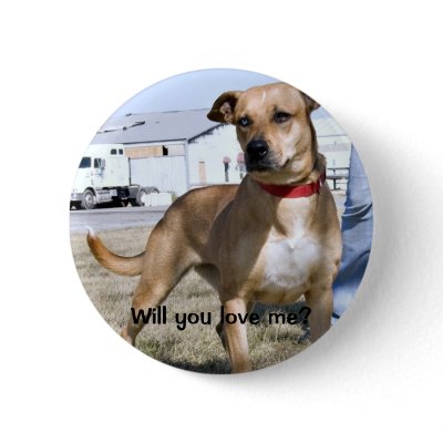 Skylina, Will you love me? button by rescueadog