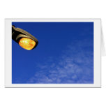 skylit cards