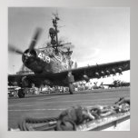 Skyraider Print