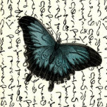 Butterfly Magnets