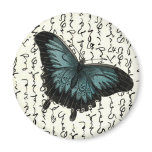 Slate Blue & Black Butterfly on Asian Writing Magnets
