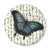 Slate Blue & Black Butterfly on Asian Writing Magnets