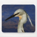 Slatey Egret mousepads