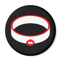 Slave Collar Magnets