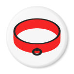 Slave Collar magnets