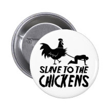 Slave to the chickens pinback buttons