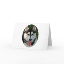 Sled Dog Greeting Card