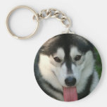 Sled Dog Keychain