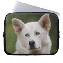 sled dog laptop computer sleeves