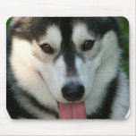 Sled Dog Mouse Pad mousepads