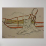 sled dog posters