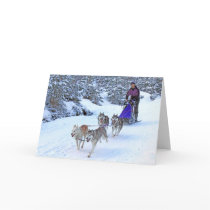 Sled Dog Racing Card