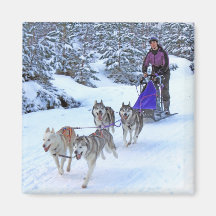 Sled Dog Racing Fridge Magnets