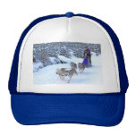 Sled Dog Racing Hat