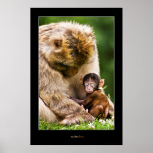 Sleep little baby monkey posters