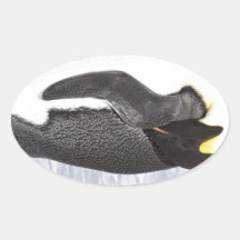 Sleeping Antarctic Emperor Penguin Adult Stickers