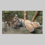 Sleeping Baby Tiger business cards