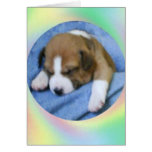 Sleeping Basenji Pup Card
