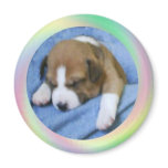 Sleeping Basenji Pup Magnet