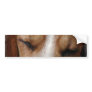 Sleeping Beagle Bumper Sticker