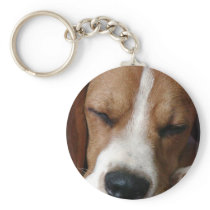 Sleeping Beagle Keychain