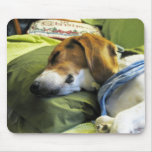 Sleeping Beagle mousepads