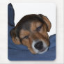 Sleeping Beagle Puppy Mousepad
