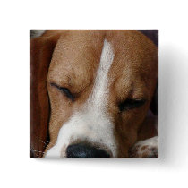 Sleeping Beagle Square Pin