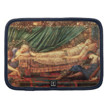 Sleeping Beauty Asleep in Her Bower Folio Planner