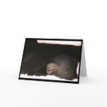 Sleeping Black Bear Card