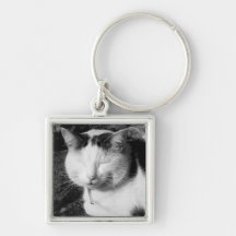 Sleeping Black & White Cat Key Chains