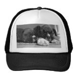 Sleeping Boxer puppies Mesh Hat
