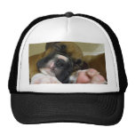 Sleeping Boxer puppy baseball cap Mesh Hat