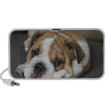 Sleeping Bulldog Speakers