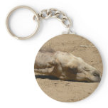 Sleeping camel keychains