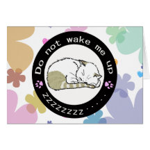 sleeping cat 2 cards