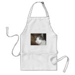 Sleeping Cat Apron