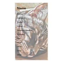 Sleeping Cat Business Cards