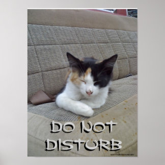 Do Not Disturb Posters | Zazzle.co.uk