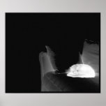 Sleeping Cat On Sofa - B&W Negative Posters