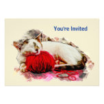 Sleeping Cat with Red Yarn Pillow Personalized Invites