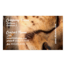 Sleeping Cheetah Business Cards