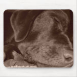 Sleeping Chocolate Lab Mouse Pad