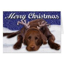 Sleeping Chocolate Lab With Antlers Photograph Greeting Card