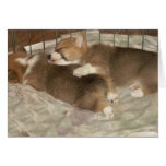 Sleeping Corgis Greeting Card