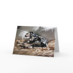 Sleeping Dalmatian cards