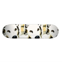 Sleeping Dalmatian Skateboard