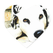 Sleeping Dalmatian Stickers
